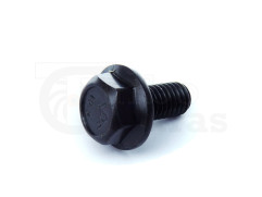 Bolt M6X12PV