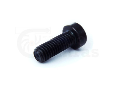 Bolt M6X16 (1)