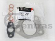 Gasket kit - TC1001