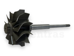Turbinos velenas 169039 BW-02-0100 S300-36