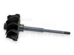 Shaft and wheel 169039 BW-02-0100 S300-36 2