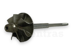 Turbinos velenas 1630-120-3101 BV30-35 BW-02-0002