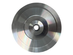 Back plate BW-08-0066 2