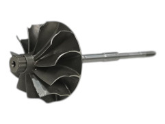 Shaft and wheel GA-02-0171