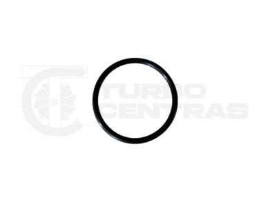 O-ring TD04-200