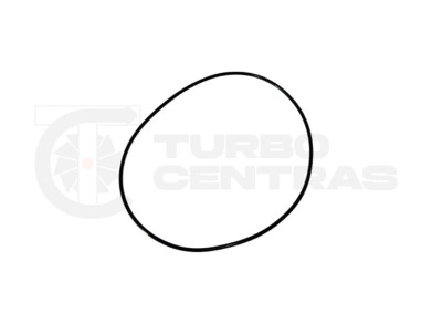 O-ring GT15-203