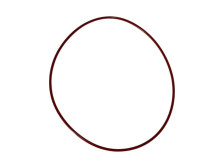O-ring GT15-204