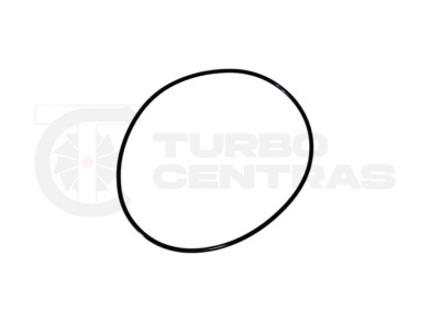 O-ring GT15-201
