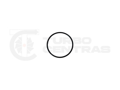 O-ring GT15-207