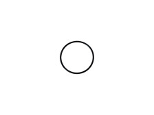 O-ring GT15-207