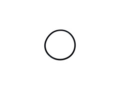O-ring OR-38-0064