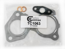 Gasket kit TC1063