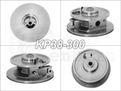 Bearing housing BW-01-0030 KP38-300